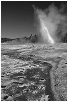 Daisy Geyser erupting at an angle. Yellowstone National Park, Wyoming, USA. (black and white)