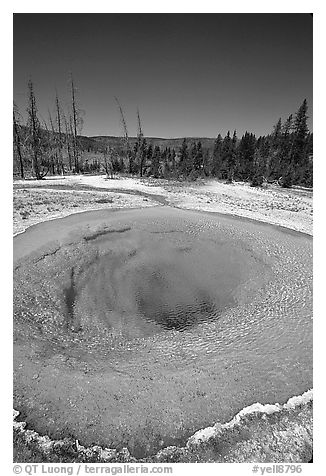 Bright colors of morning Glory Pool. Yellowstone National Park (black and white)