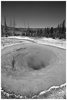 Bright colors of morning Glory Pool. Yellowstone National Park, Wyoming, USA. (black and white)