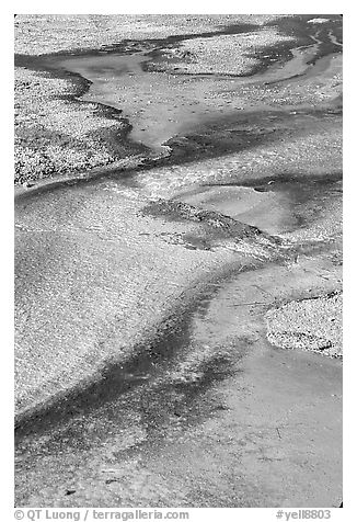 Detail of colorful algaes, Biscuit Basin. Yellowstone National Park (black and white)