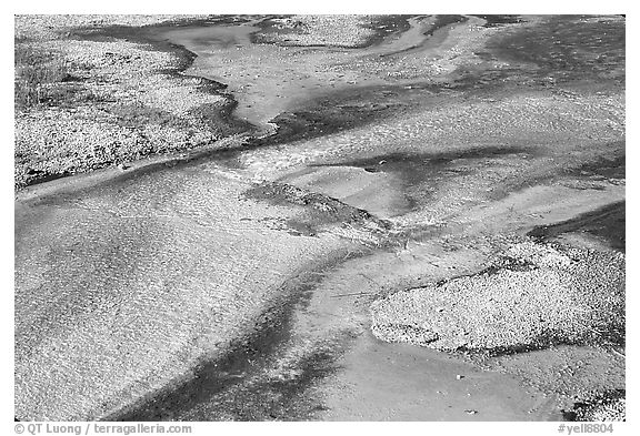 Colorful algaes patterns, Biscuit Basin. Yellowstone National Park, Wyoming, USA.