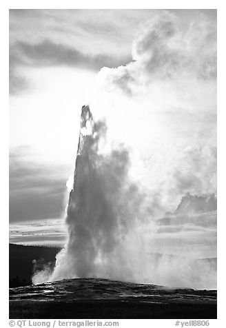 Old Faithful Geyser, late afternoon. Yellowstone National Park (black and white)