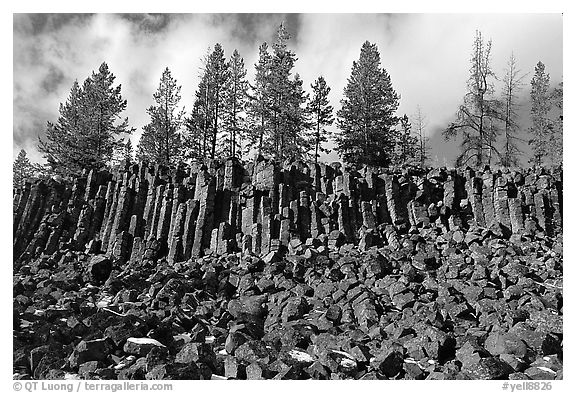 Basalt columns. Yellowstone National Park, Wyoming, USA.