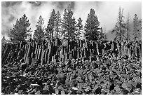 Basalt columns. Yellowstone National Park, Wyoming, USA. (black and white)