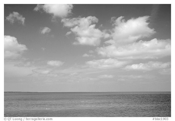 Sky and Elkhorn coral reef. Biscayne National Park, Florida, USA.