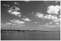 Adams Key. Biscayne National Park ( black and white)