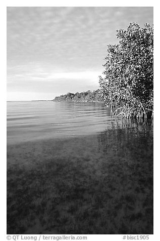 Elliott Key shore on Biscayne Bay, sunset. Biscayne National Park, Florida, USA.