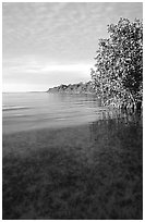 Elliott Key shore on Biscayne Bay, sunset. Biscayne National Park ( black and white)