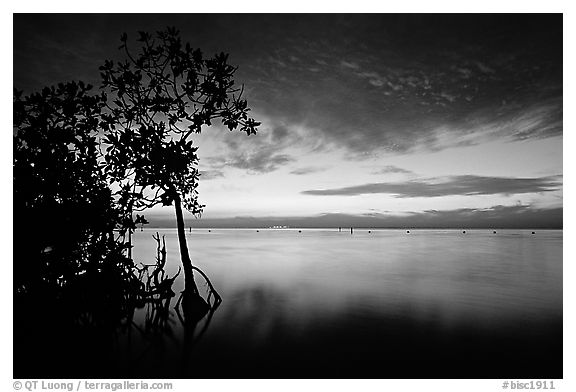 Sunset on Biscaye Bay from Elliott Key. Biscayne National Park (black and white)