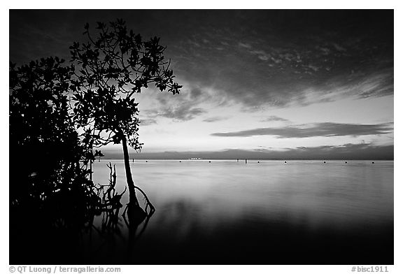 Sunset on Biscaye Bay from Elliott Key. Biscayne National Park, Florida, USA.