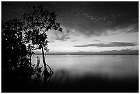 Sunset on Biscaye Bay from Elliott Key. Biscayne National Park ( black and white)