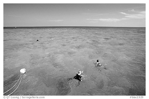 Snorklers. Biscayne National Park, Florida, USA.