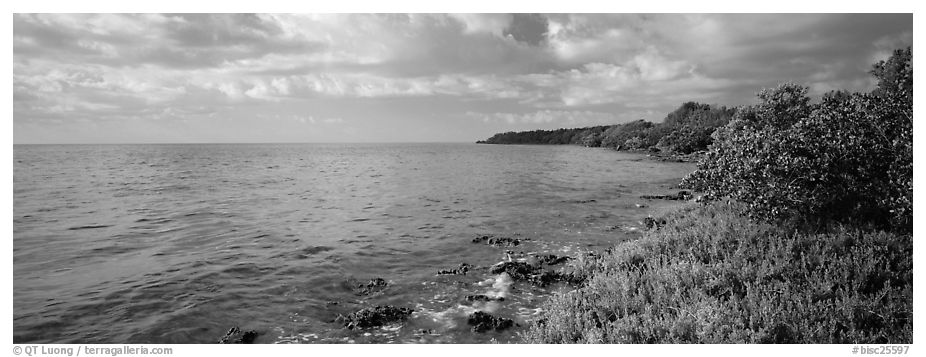 Island Altantic shoreline. Biscayne National Park (black and white)
