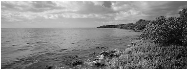 Island Altantic shoreline. Biscayne National Park (Panoramic black and white)