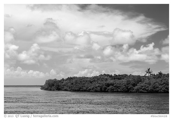 Adams Key, Biscayne Bay, and summer clouds. Biscayne National Park, Florida, USA.