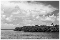 Adams Key, Biscayne Bay, and summer clouds. Biscayne National Park, Florida, USA. (black and white)