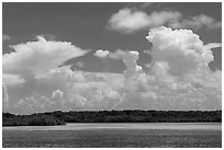 Barrier island, shallow waters, and afternoon clouds. Biscayne National Park, Florida, USA. (black and white)