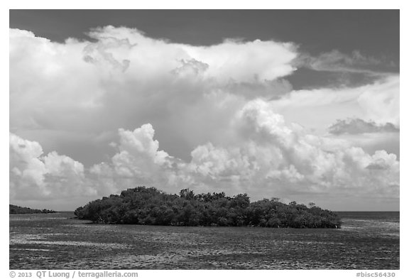 Mangrove islet in Caesar Creek and Atlantic Ocean. Biscayne National Park, Florida, USA.