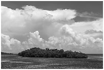 Mangrove islet in Caesar Creek and Atlantic Ocean. Biscayne National Park, Florida, USA. (black and white)