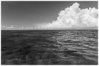 Reef and clouds. Biscayne National Park, Florida, USA. (black and white)