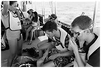 Snorklers getting ready on boat. Biscayne National Park, Florida, USA. (black and white)
