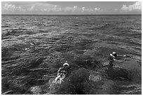 Snorklers and reef. Biscayne National Park, Florida, USA. (black and white)