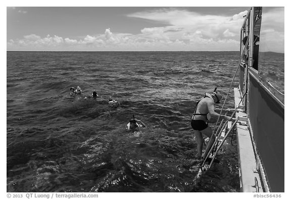 Snorkeling boat, snorklers and reef. Biscayne National Park (black and white)