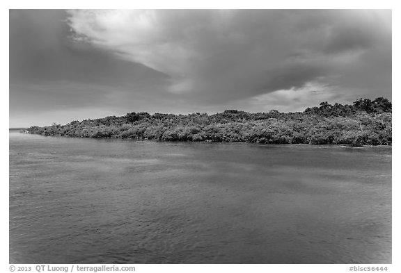 Adams Key, afternoon. Biscayne National Park (black and white)