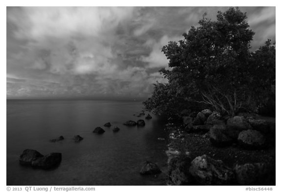Biscayne Bay shoreline at night, Convoy Point. Biscayne National Park (black and white)