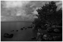 Biscayne Bay shoreline at night, Convoy Point. Biscayne National Park, Florida, USA. (black and white)