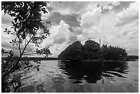 Mangrove islet, Biscayne Bay. Biscayne National Park, Florida, USA. (black and white)