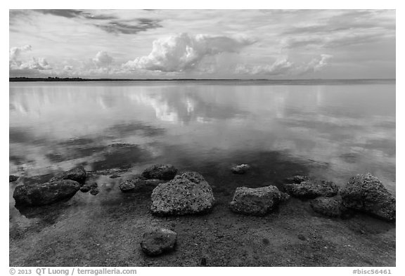 Rocks and Biscayne Bay reflections. Biscayne National Park, Florida, USA.