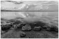 Rocks and Biscayne Bay reflections. Biscayne National Park, Florida, USA. (black and white)