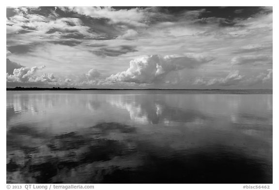 Clouds reflected in water, Biscayne Bay. Biscayne National Park (black and white)
