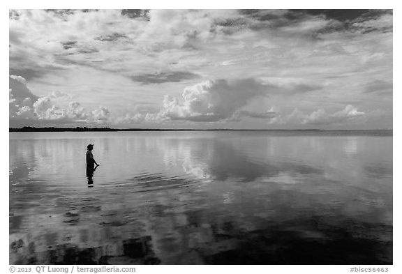 Park visitor looking, standing in glassy Biscayne Bay. Biscayne National Park (black and white)