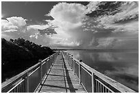 Boardwalk and mangroves, Convoy Point. Biscayne National Park ( black and white)