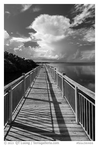 Boardwalk and Biscayne Bay, Convoy Point. Biscayne National Park (black and white)