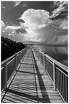 Boardwalk and Biscayne Bay, Convoy Point. Biscayne National Park, Florida, USA. (black and white)