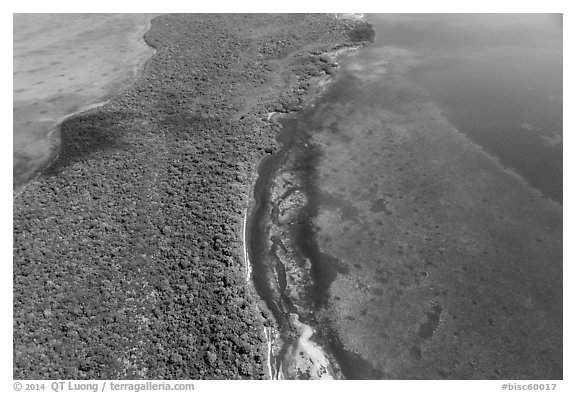 Aerial view of section of Biscayne Bay, Elliott Key, and Margot Fish Shoal. Biscayne National Park (black and white)