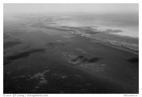 Aerial view of reef and Elliott Key. Biscayne National Park (black and white)