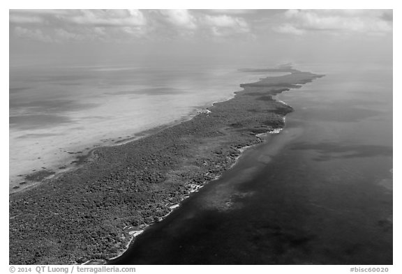 Aerial view of Biscayne Bay, Elliott Key, and Hawk Channel. Biscayne National Park (black and white)