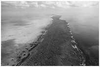 Aerial view of Elliott Key. Biscayne National Park ( black and white)