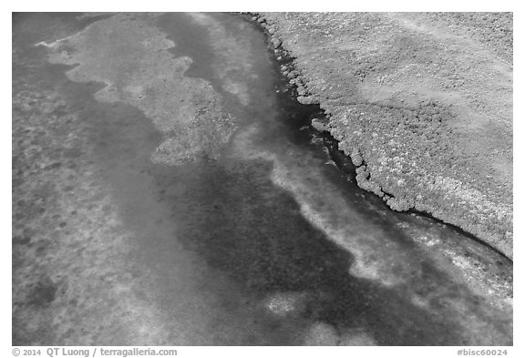 Aerial view of reef and shoreline. Biscayne National Park (black and white)