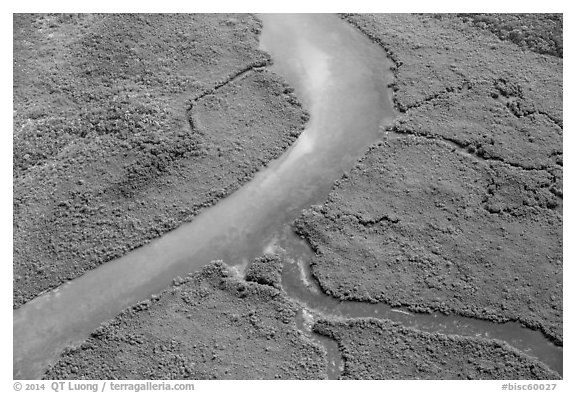 Aerial view of Hurricane Creek. Biscayne National Park (black and white)