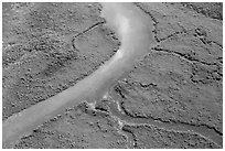 Aerial view of Hurricane Creek. Biscayne National Park ( black and white)