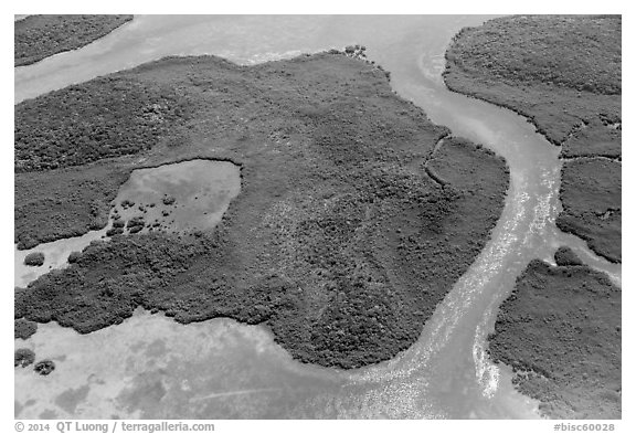 Aerial view of Hurricane Creek on Old Rhodes Key. Biscayne National Park (black and white)