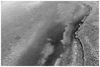 Aerial view of reef, shoal, coastline, and forest. Biscayne National Park ( black and white)