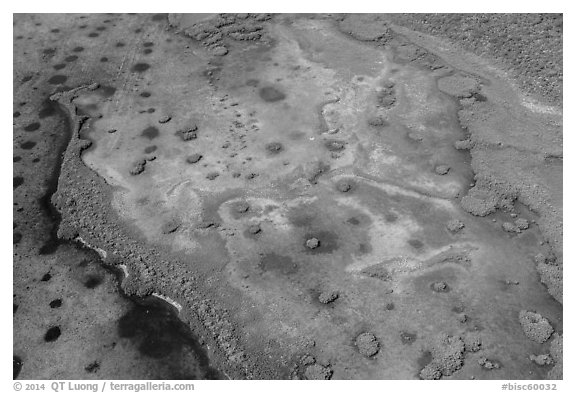 Aerial view of Mangrove islands in Jones Lagoon. Biscayne National Park (black and white)