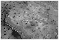 Aerial view of Mangrove islands in Jones Lagoon. Biscayne National Park ( black and white)