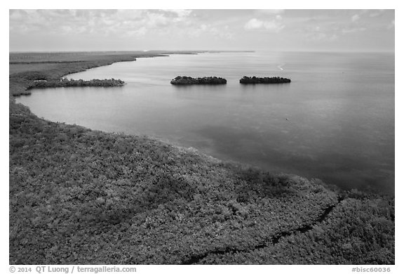 Aerial view of mangrove coast in islets. Biscayne National Park (black and white)